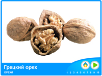 Горіхи. Діти дізнаються про горіхах