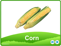 презентації англійською мовою