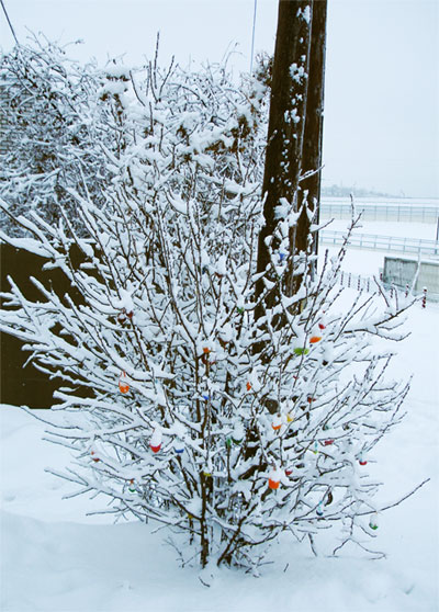 Вироби взимку на вулиці. Різнокольорові крижинки